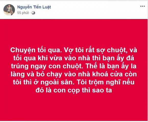 tienlat-ngoisaovn-4-ngoisaovn-w696-h577