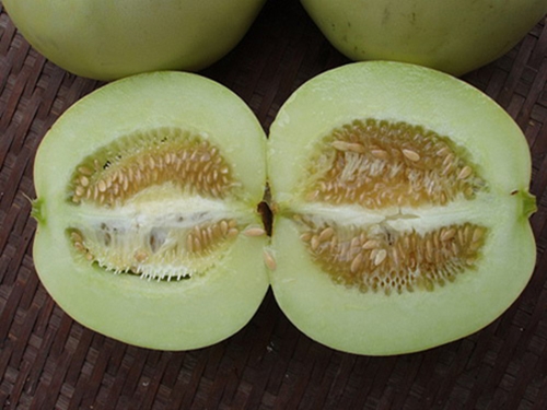 cach-chon-dua-le-ngon-ngon-01