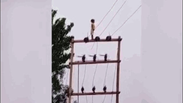 Cậu bé trèo lên cột điện cao thế khiến ai cũng thót tim.