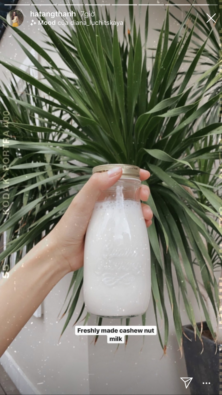 Sữa hạt điều là món đồ uống yêu thích trong thời gian gần đây của người đẹp. Để làm món đồ uống này, Tăng Thanh Hà chọn hạt đã rang, bóc vỏ lụa rồi xay, lọc lấy nước. Nếu có máy làm sữa hạt, công việc của bạn sẽ trở nên đơn giản hơn nữa.