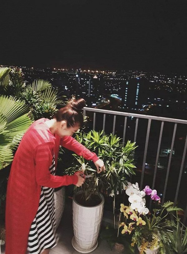 Ban công nhiều sắc hoa