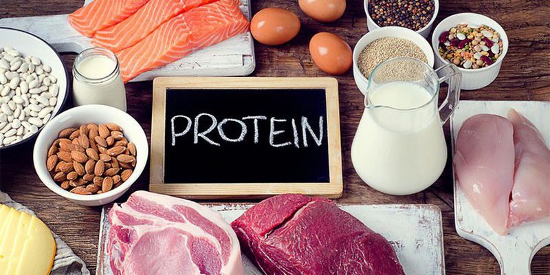 Chất đạm (protein) rất cần thiết cho sức khỏe của con người.