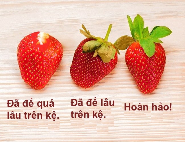 Chọn dâu tây ngon