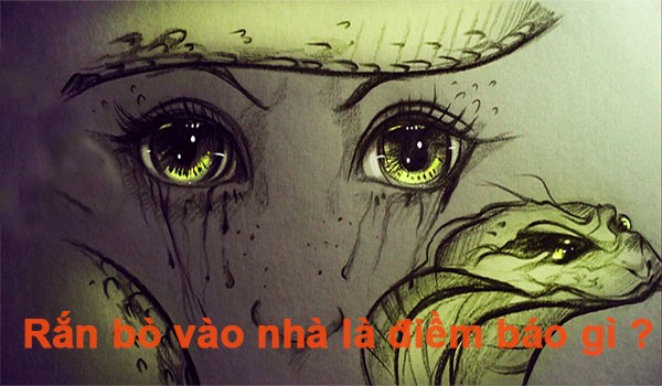 Giấc mơ về răn mang tới hỷ tin tin vui cho bạn