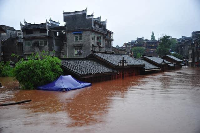 (Ảnh: Tổng hợp)