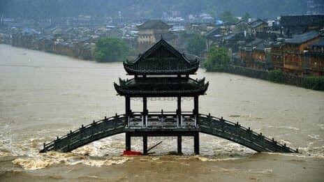 (Ảnh: Tổng hợp)