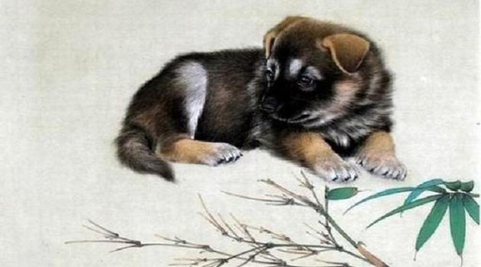 Tử vi từ ngày 15/7 con giáp may mắn tới hết năm Canh Tý