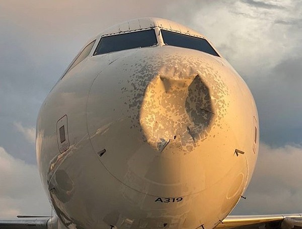 Mũi của máy bay bị bẹp dúm sau khi bị đàn chim 