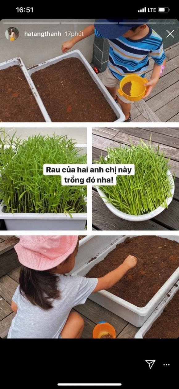 Mới đây, Hà Tăng thích thú đăng tải khoảnh khắc hai nhóc tì Richard và Chloe mải mê ngắm nhìn thành quả của mình. Đó là vườn rau muống xanh mướt sau bao ngày được vun trồng. Mặc dù ở biệt thự “triệu đô” nhưng Tăng Thanh Hà vẫn có cách giáo dục con cái rất đặc biệt, đó là thường xuyên hướng các con tham gia những hoạt động ngoài trời và gần gũi với thiên nhiên. Có lẽ vậy mà hai bé nhà Hà Tăng dù mới 3 - 5 tuổi đã được khen ngợi hết lời nhờ thông minh.
