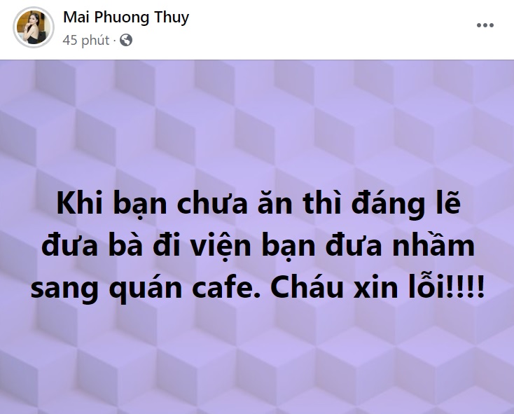 mai-phuong-thuy-01