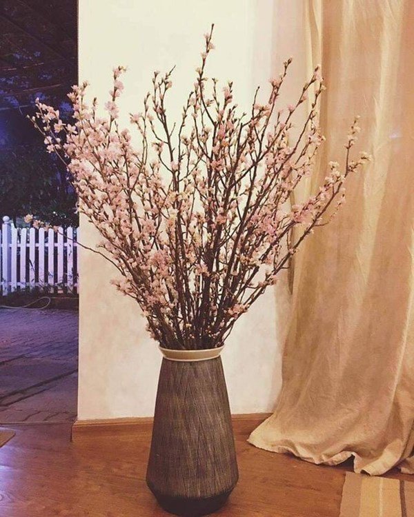 Hoa anh đào hút tài lộc vào nhà