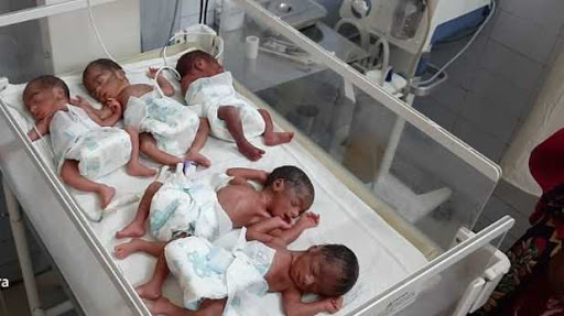 5 đứa trẻ chào đời bằng phương pháp sinh thường.