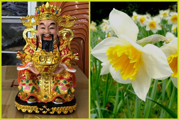 Đặt hoa thủy tiên hút tài lộc