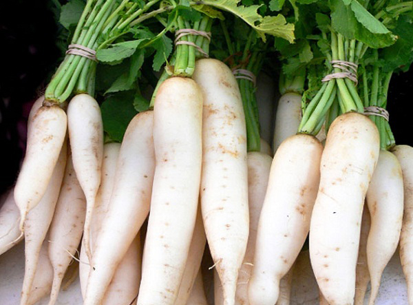 Củ cải trắng tốt cho sức khỏe của bạn