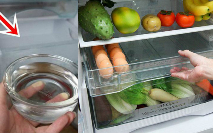 Đặt bát nước vào tủ lạnh tiết kiệm điện