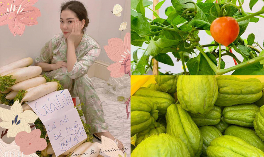 Sau hơn 10 năm đăng quang, Hoa Hậu Nguyễn Thị Huyền cho biết gia đình cô đang sống trong căn biệt thự rộng rãi, cô có sở thích trồng cây, hoa và rau sạch quanh nhà.