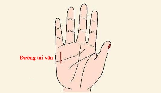 phu-nu-so-huu-1-trong-4-tuong-tay-nay-la-nguoi-co-so-huong-03