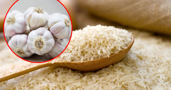 Dùng tỏi giúp bảo quản gạo ngon