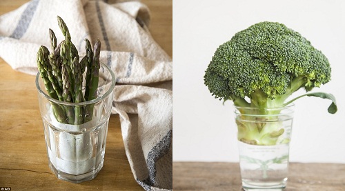 Chỉ cần cắm rau thơm, bông cải, măng tây vào nước như cắm hoa sẽ giúp chúng tươi lâu hơn mà không cho vào tủ lạnh.