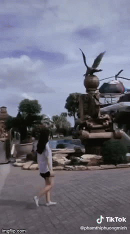 tiktok1