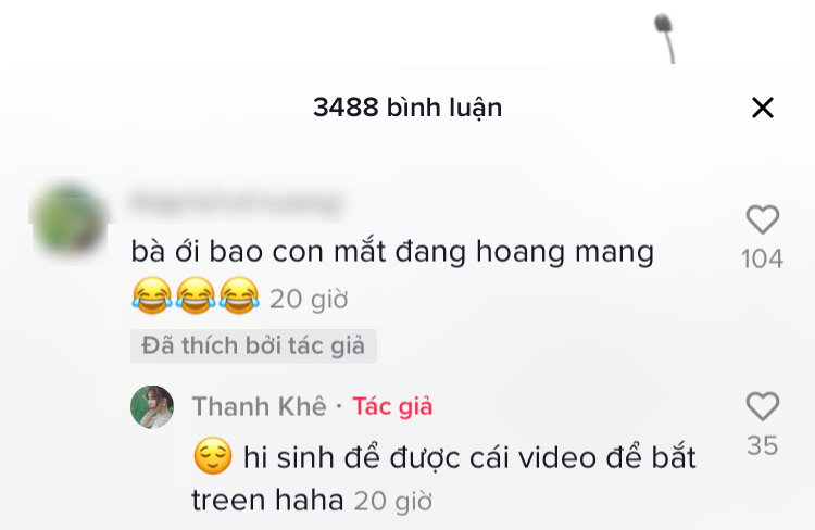 dap_tra