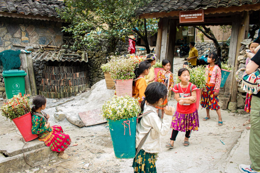 ha_giang11