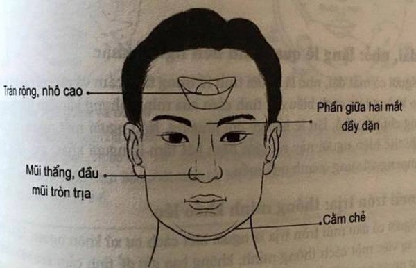 Tướng đàn ông giàu có thông minh