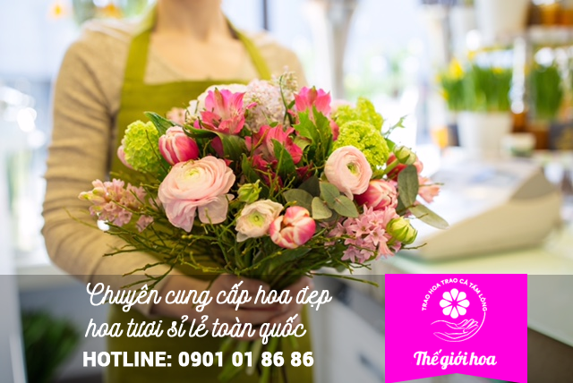 Thế Giới Hoa - chuyên cung cấp hoa đẹp, hoa tươi sỉ lẻ toàn quốc