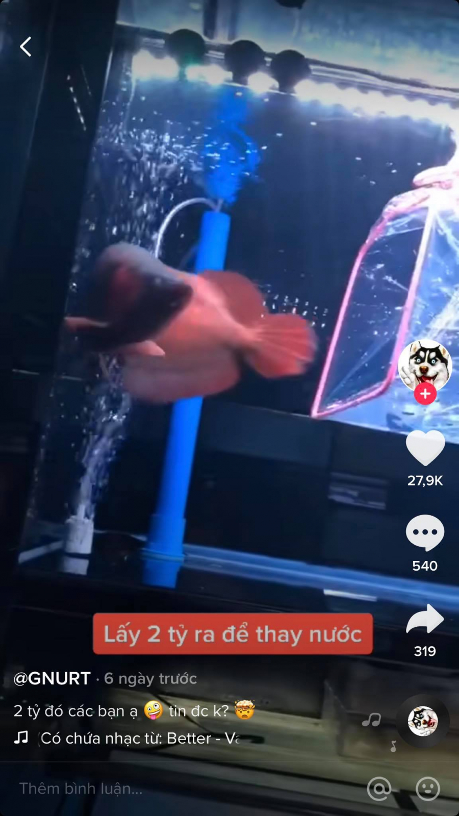 2ty