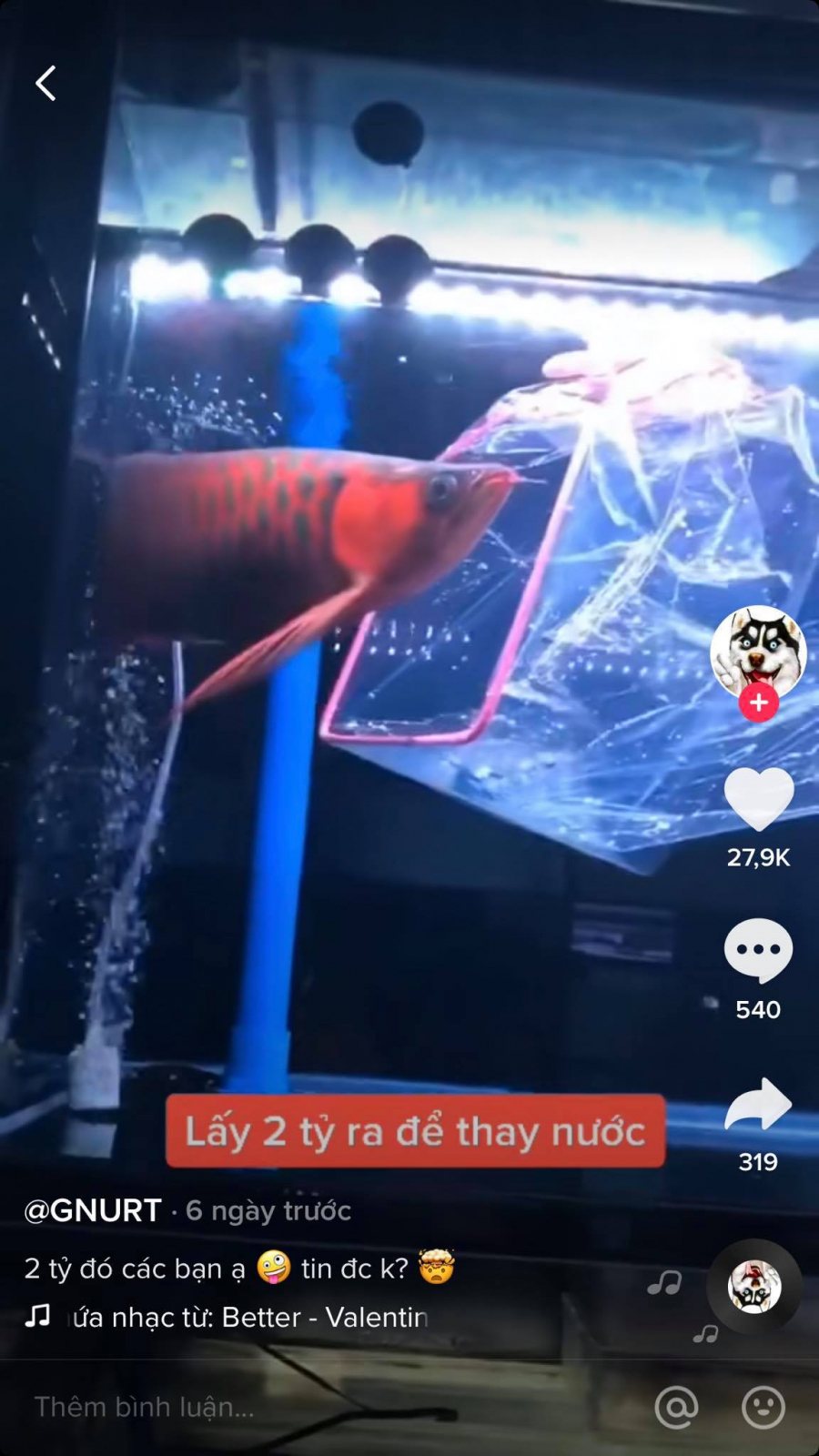 2ty_1