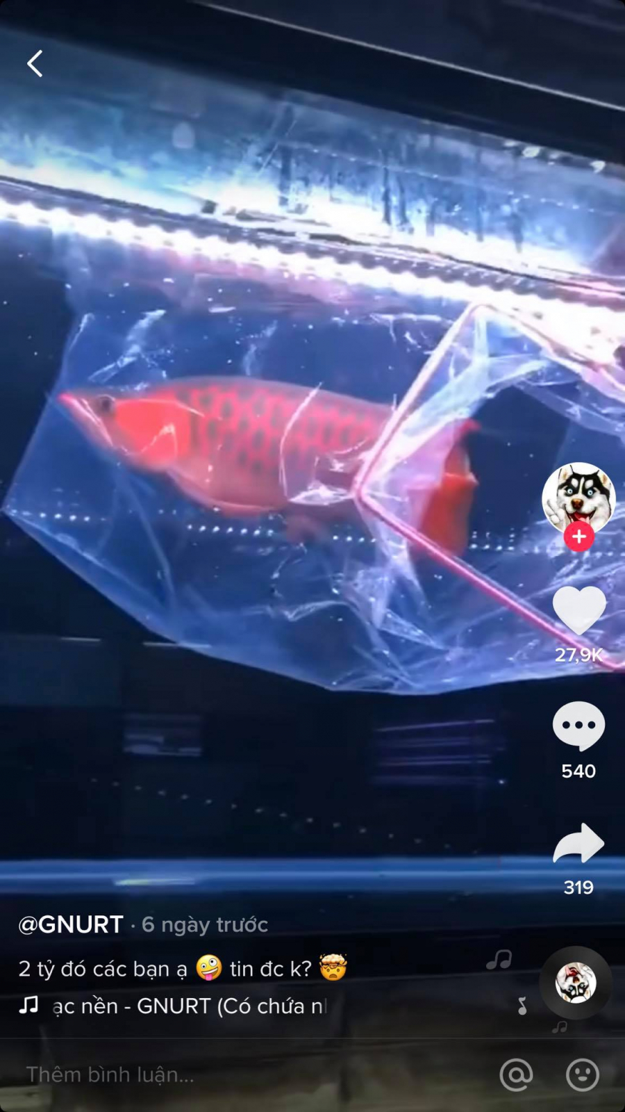 2ty_2