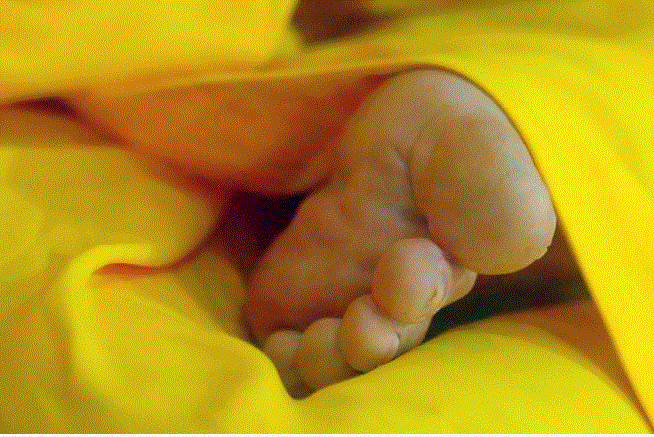 Bàn tay, bàn chân được tạo nét chân thật. Ảnh: Phật Giáo