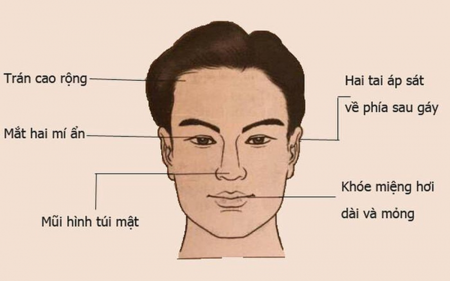Tướng đàn ông giàu có