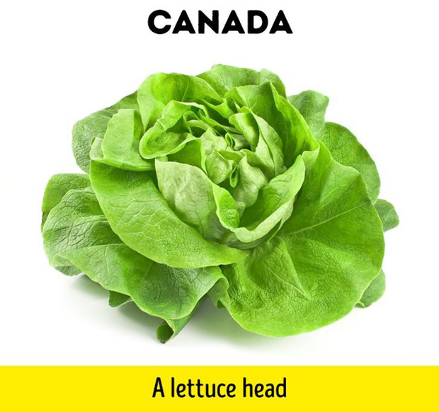 Canada - một bông rau diếp: Mua đồ ăn và đi ăn ngoài tại Canada rất đắt đỏ. Một bữa tối cho hai người tại một nhà hàng trung lưu rơi vào khoảng 60 CAD (hơn 1 triệu đồng).  