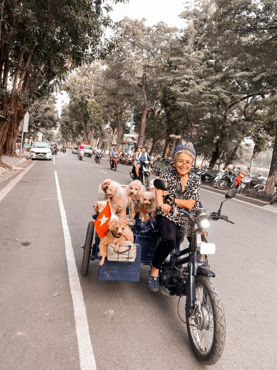 Khoảnh khắc di dạo cùng đàn chó nhỏ của cụ bà khiến nhiều người vô cùng thích thú