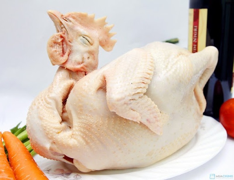 Gà không có mùi lạ
