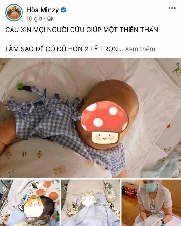 hoaminzy-ngoisaovn-1-ngoisaovn-w810-h1012
