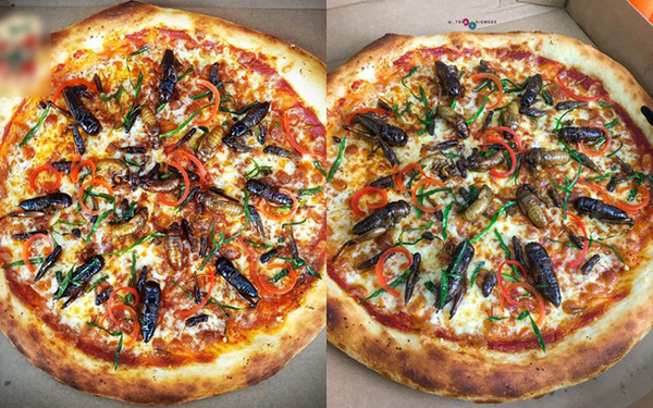 pizza1