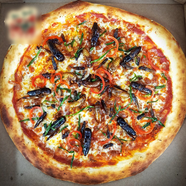 pizza2