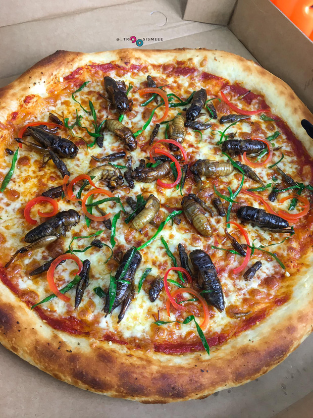 pizza4