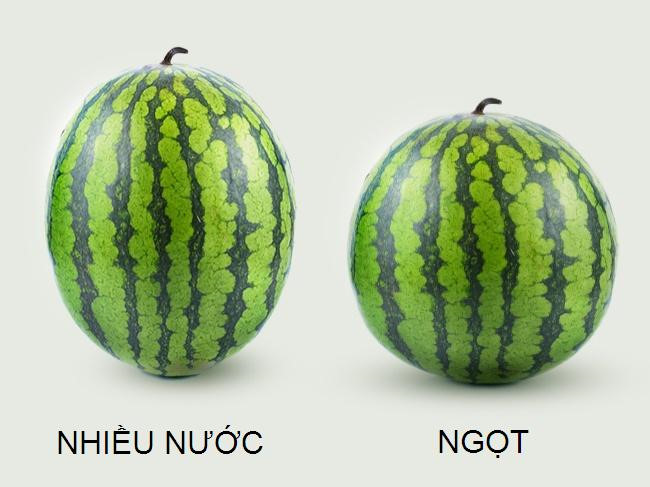 chon-dua-hau