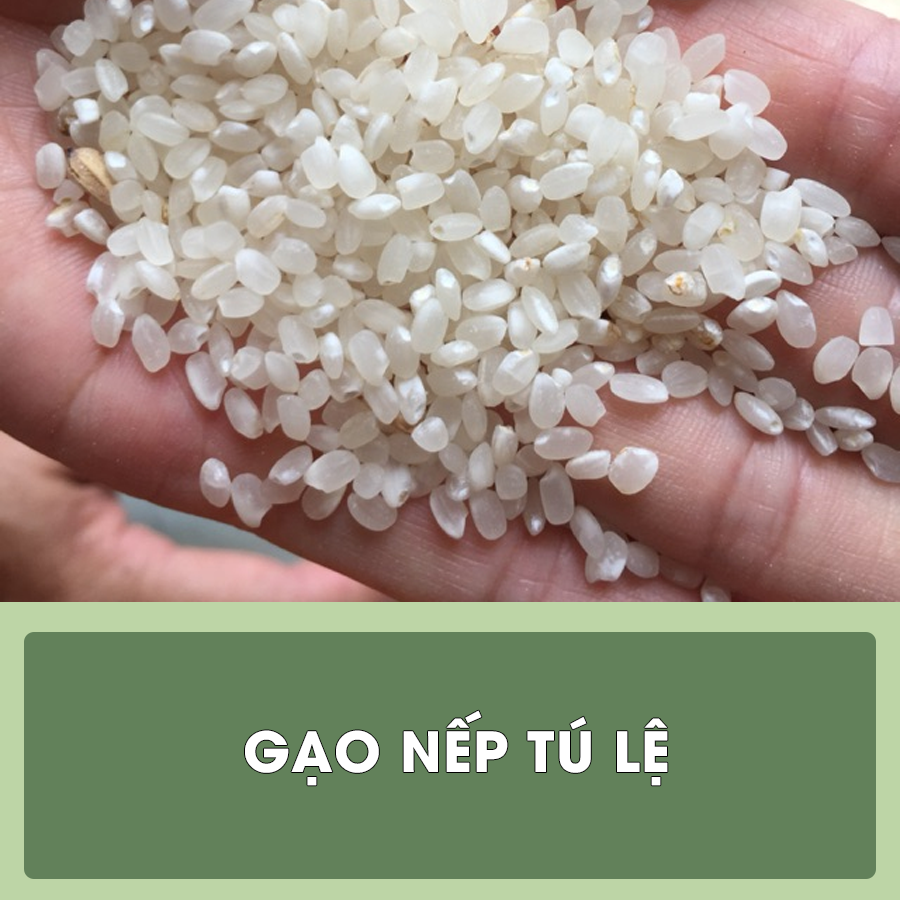 gao1