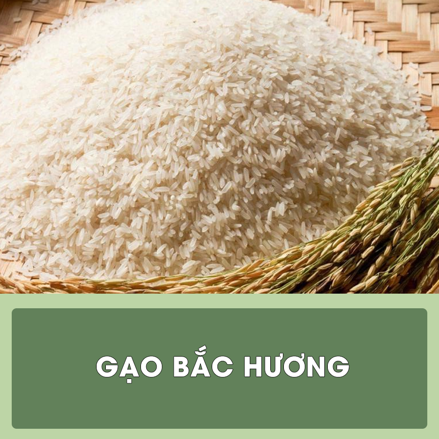 gao6