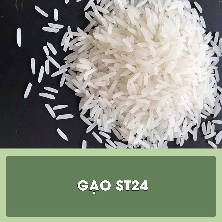 gao7