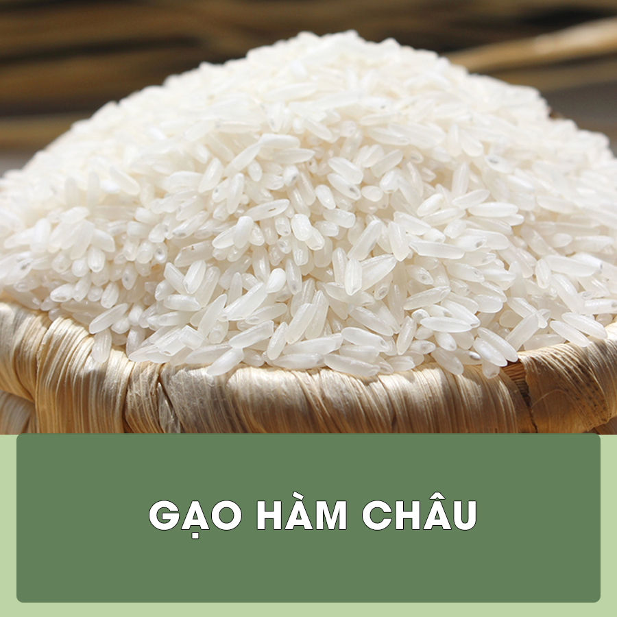 gao8