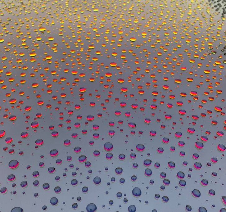 Màu sắc của những giọt mưa trên cửa sổ ô tô thật xinh xắn! 