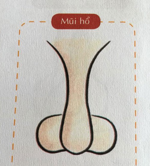 xem-tuong-mui-02