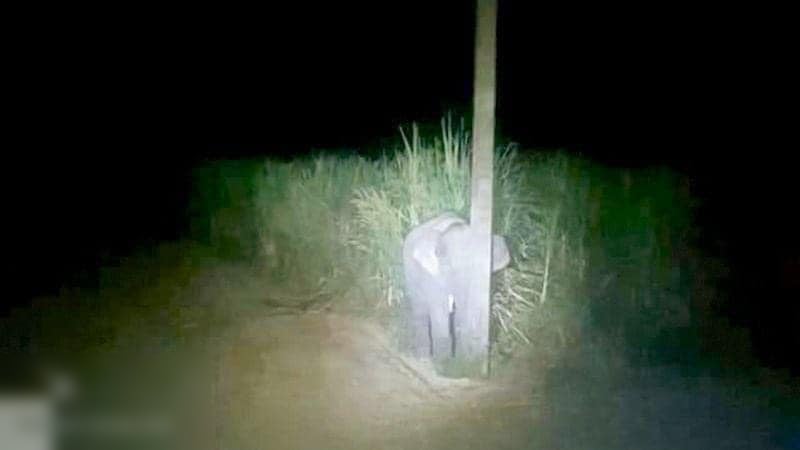 VeGRwCPb5GhVoj4Pbt0DVuCqe4am8ZCIdZfVIN3p