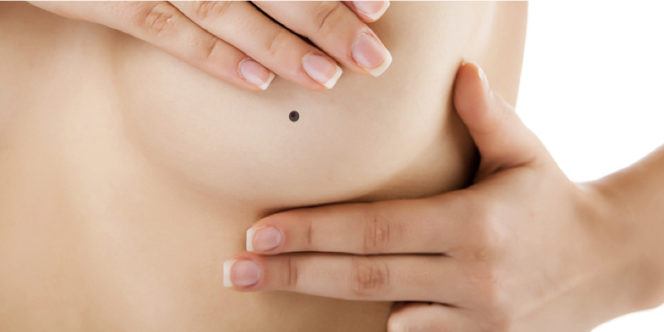 Size-Feature-Lead-Image-.001-7-664x332