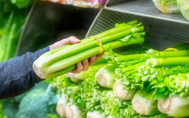hand-holding-a-bunch-of-celery-1562299217199290842817-crop-15622992242251782064668